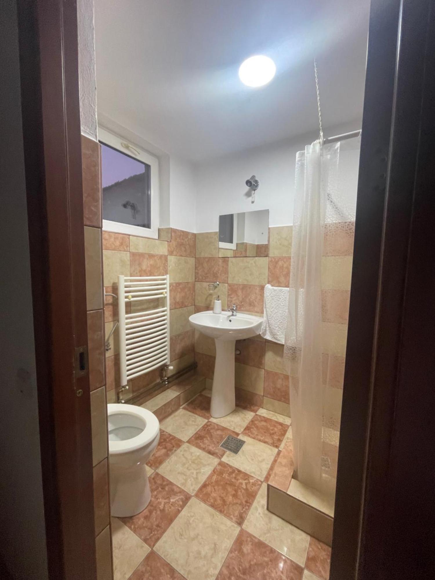 Pensiunea Vatafu Gura Raului Luaran gambar
